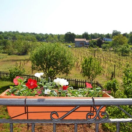 Apartments Marko Пореч Экстерьер фото