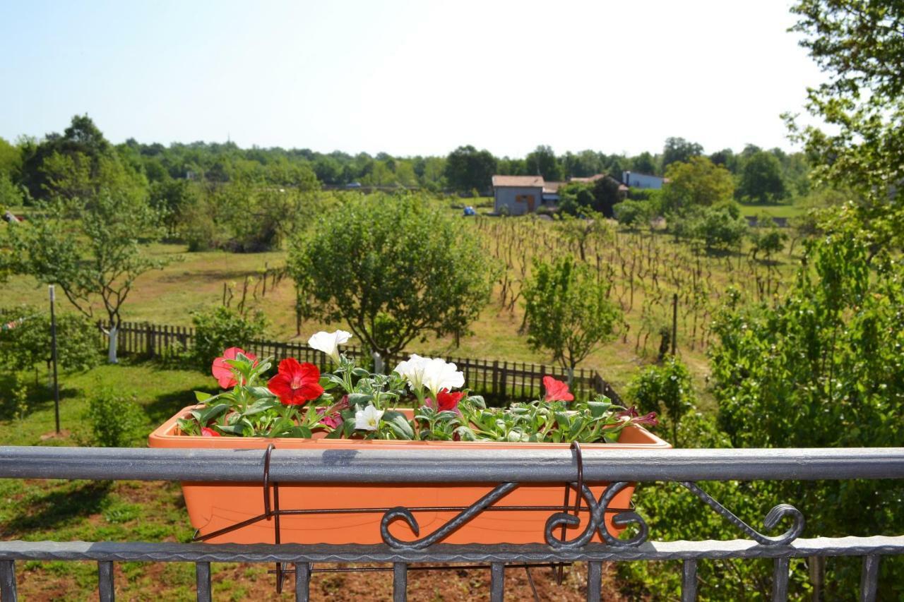 Apartments Marko Пореч Экстерьер фото